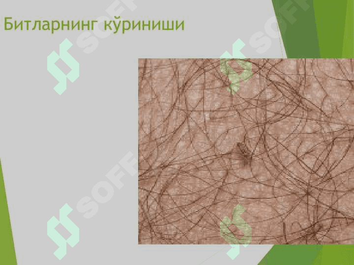 Битлаш . Bitlash 7
