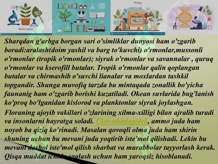 Tropik o’lkalarda tarqalgan oziq-ovqat o’simliklari 6