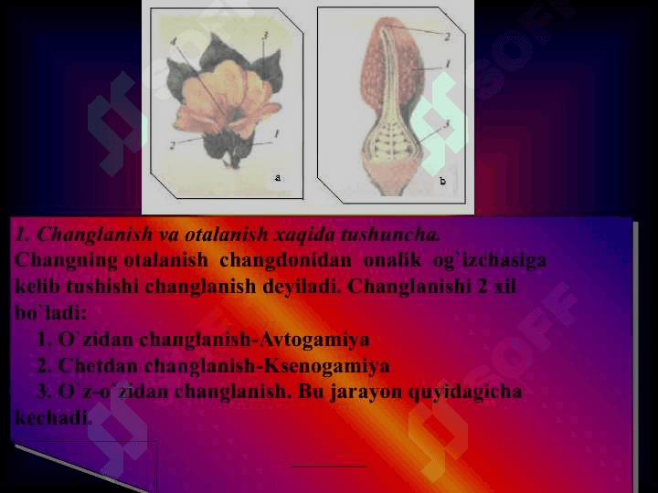 Changlanish xillari. Chetdan va o’z-o’zidan changlanish 2