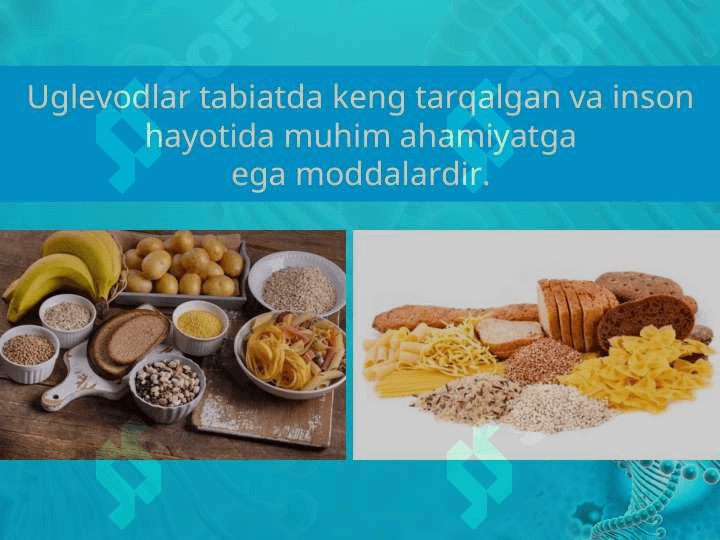 Uglevodlarning tuzilishi va ahamiyati 2