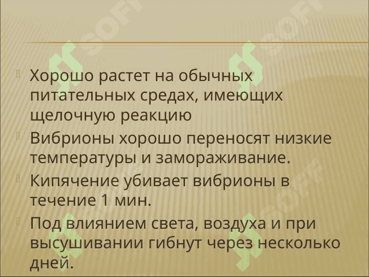 холера 4