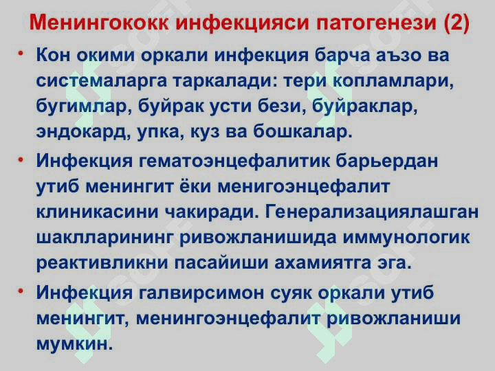 МЕНИНГОКОКК ИНФЕКЦИЯСИ 8