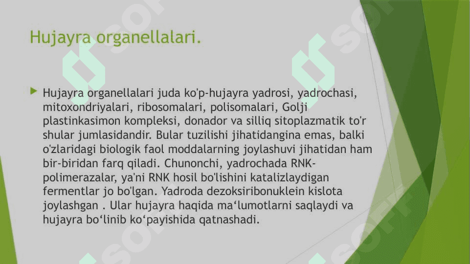 Hujayra sog‘liq va kasallikning struktur birligi. Patologiyaga kirish. Zararli ta’sirlar va ruhiy zo’riqishga nisbatan hujayra reaksiyasi. Differensiyalanish va o‘sishga hujayra moslashuvi. 7