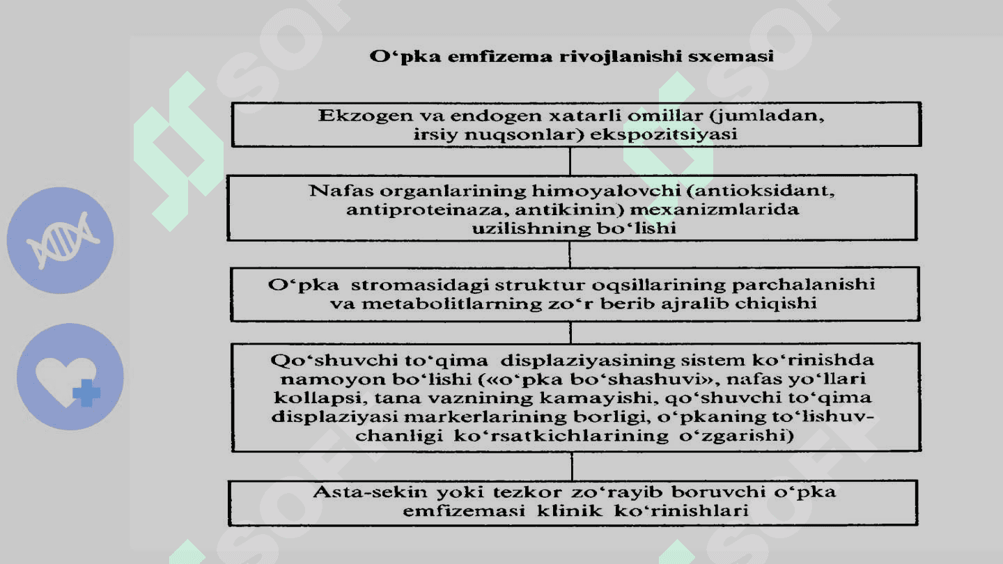 O’pka emfizemasi klinikasi. 7