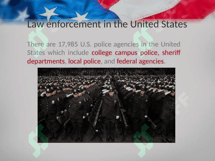 POLICE UNITED STATES 2