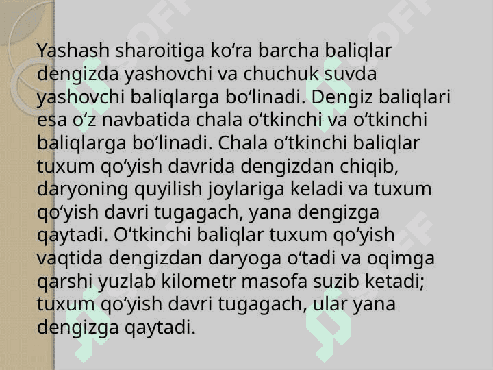 Dengiz va okeanlarda                                baliq ovlash 2