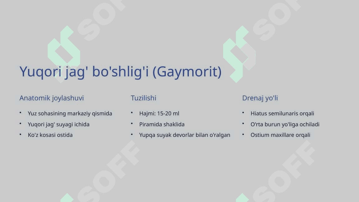 Burun yon bo'shliqlarining klinik anatomiyasi 4