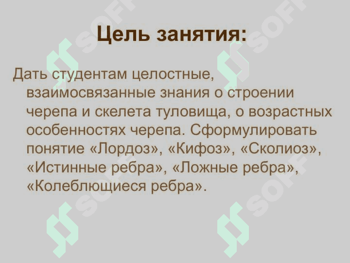 Кости черепа. Скелет туловища 2