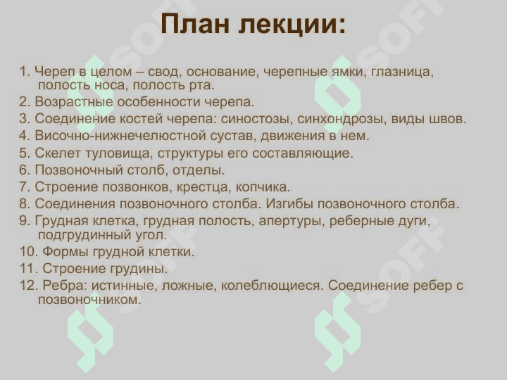 Кости черепа. Скелет туловища 3