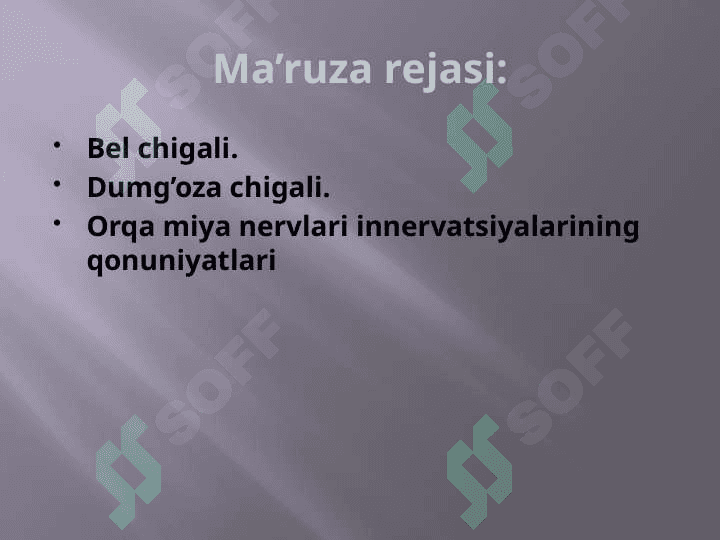 Bel va dumg'aza chigallarining anatomiyasi. 2