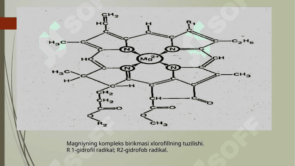 Mg, Xrom, Marganes 6