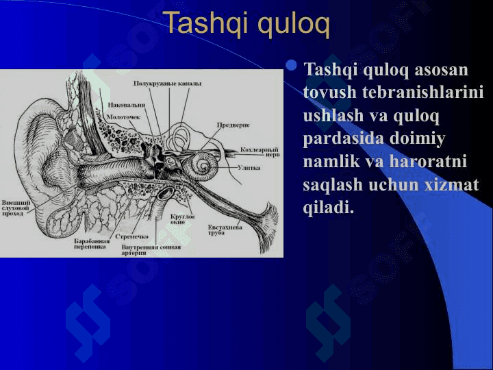 Eshitish analizatori 5