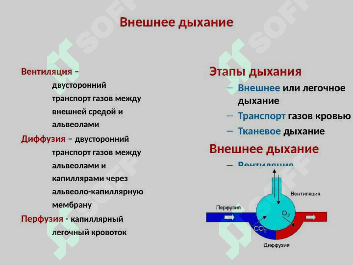 Патофизиология дыхания 3