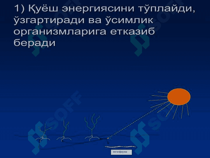 Литосфера ва ундаги муаммолар 6