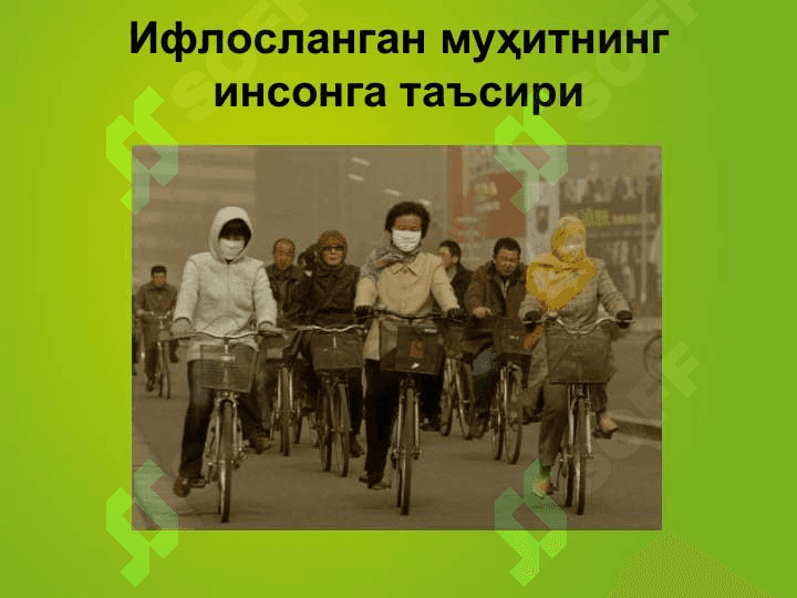 Экологик танглик 7