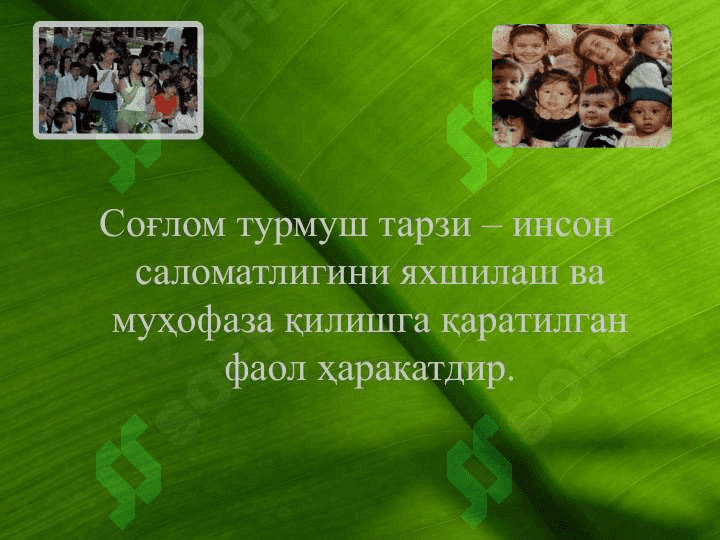 Жисмоний тарбия ва спорт 3