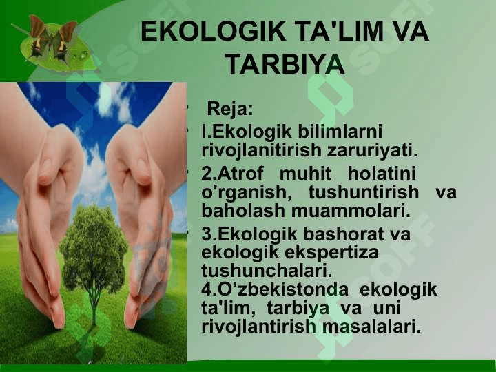 Ekologik ta'lim va tarbiya 2