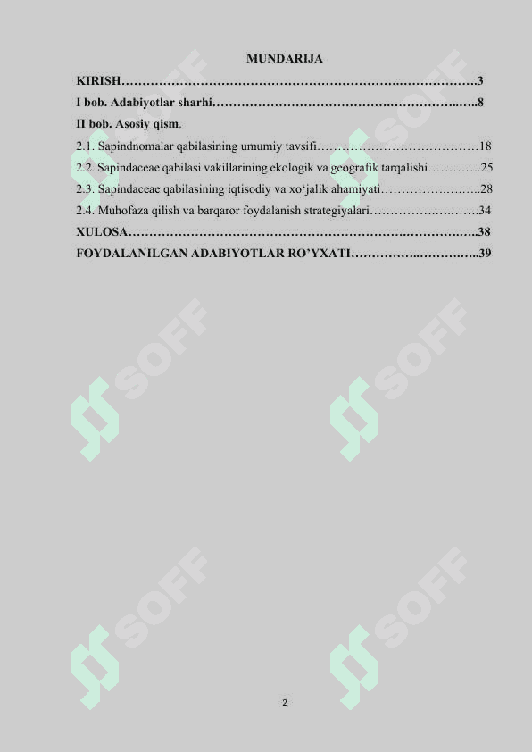 Sapindnomalar qabilasi 2