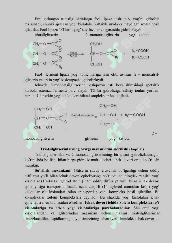 Lipidlar almashinuvi 3