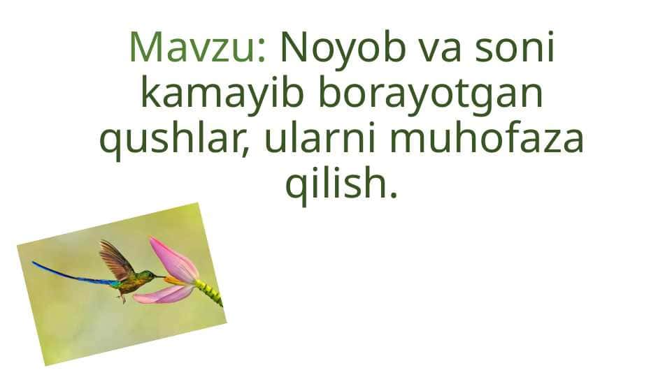 Noyob va soni kamayib borayotgan qushlar, ularni muhofaza qilish.