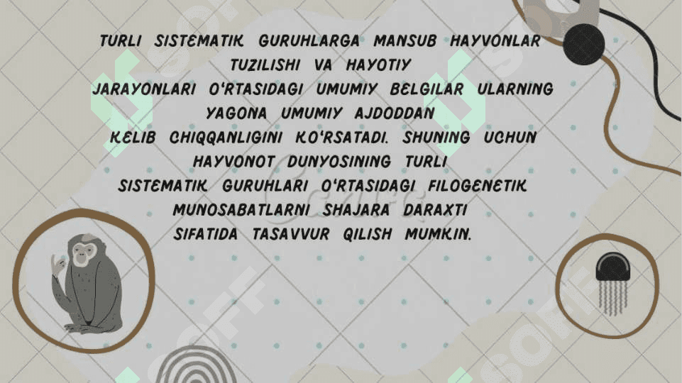 hayvonoy dunyosi evolyutsiyasi 2