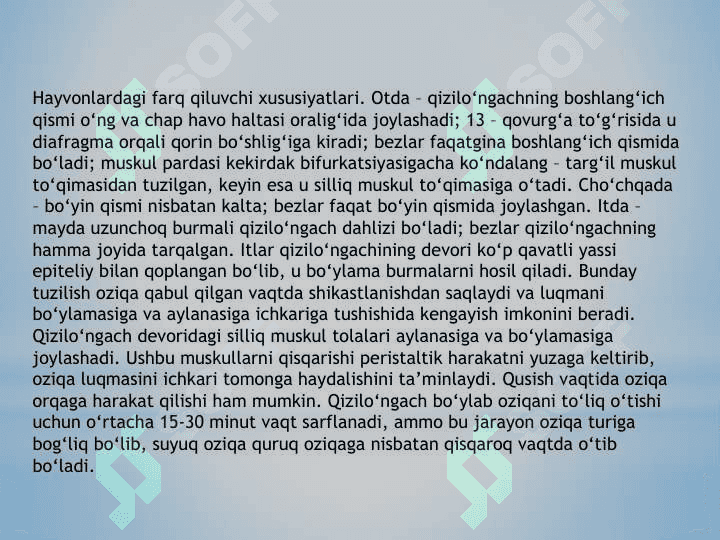 Qizil o’ngach va Oshqozon 3