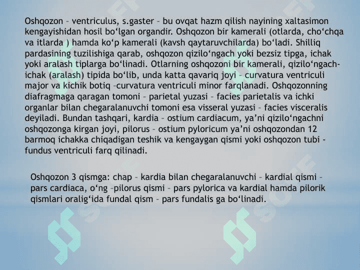 Qizil o’ngach va Oshqozon 4