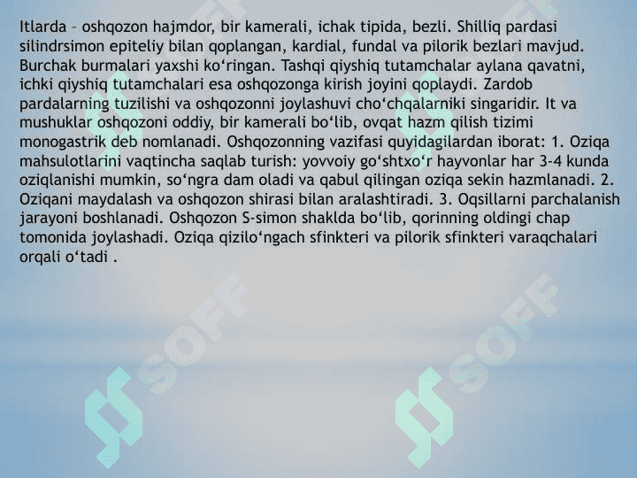 Qizil o’ngach va Oshqozon 8