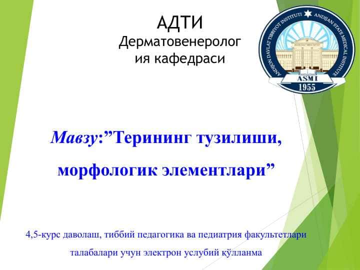 Терининг тузилиши, морфологик элементлари - Terining tuzilishi, morfologik elementlari