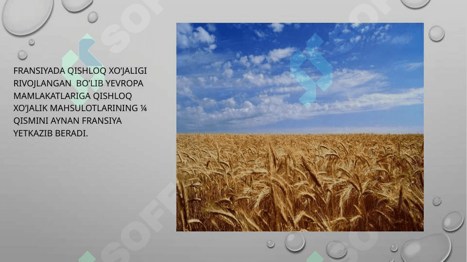Fransiya iqtisodiyoti 8