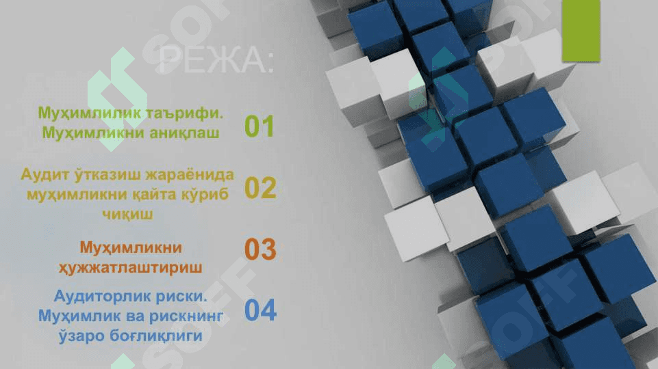 АУДИТОРЛИК ТЕКШИРУВИДА МУҲИМЛИК ВА РИСК 2