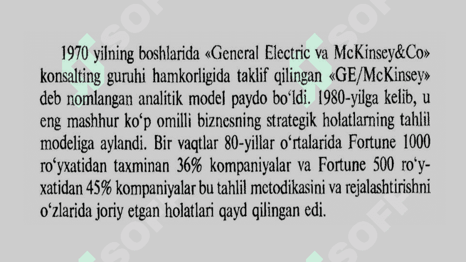 Mc Kinsey (GE/McKinsey) modeli 2