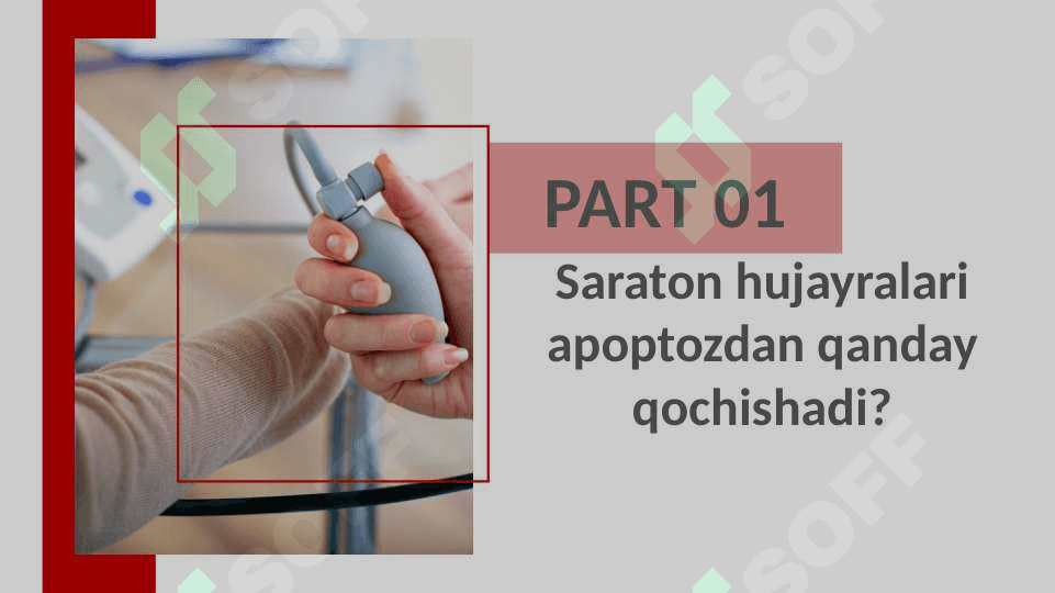 O‘sma xujayralarida apoptoz yo‘qolishi fenomeni . Onkologik statistikada informatsion texnologiyalar ahamiyati . Radioaktiv nurlarni biologik muxitlarga ta’siri 4