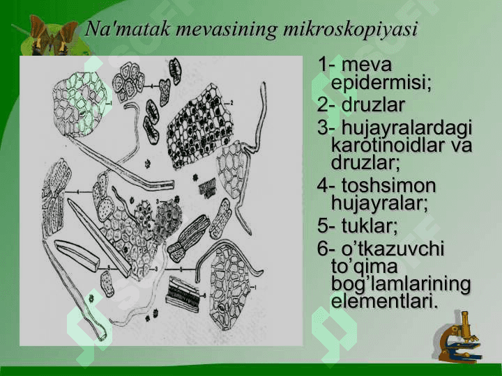 VITAMINLAR 2