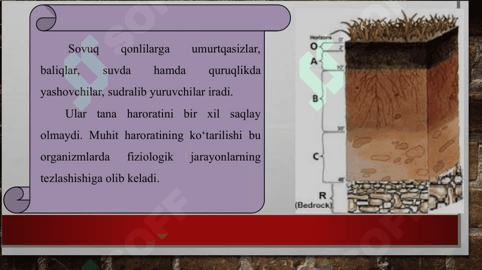 Tuproq muhitidagi abiotik omillar va ularning organizmlarga ta’siri 6