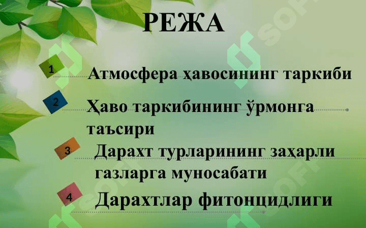 ЎРМОН ВА ҲАВОНИНГ ТАРКИБИ 2