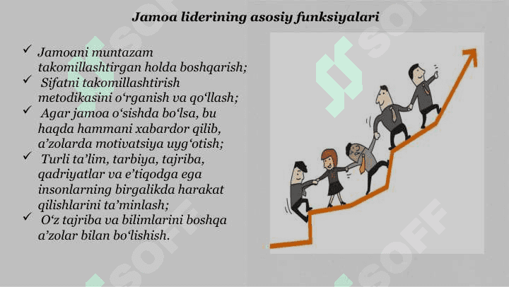 LIDERLIK 7