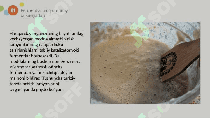 Fermentlar 4
