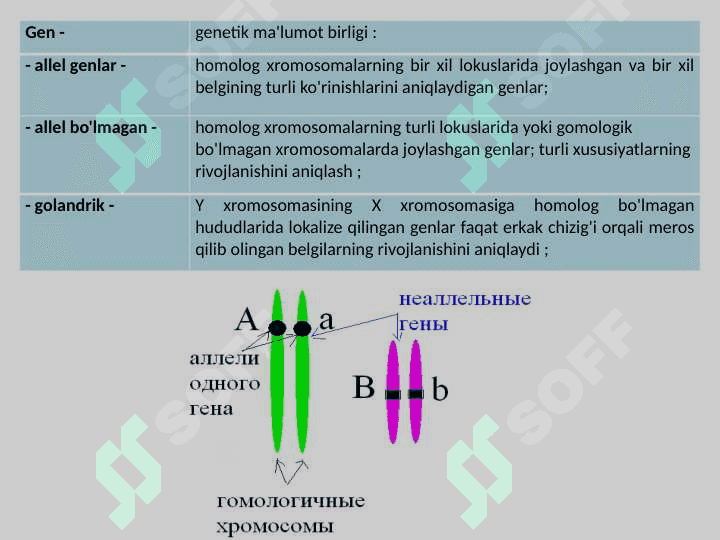 GENETIKA 6