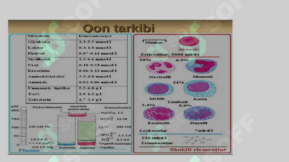 QON BIOKIMYOSI 7