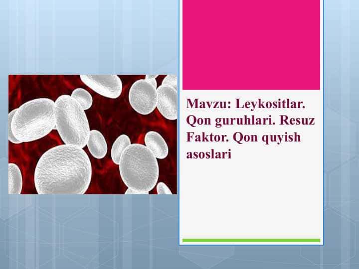 Leykositlar. Qon guruhlari. Resuz Faktor. Qon quyish asoslari