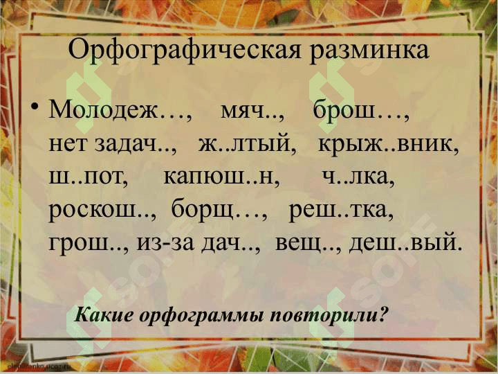 Имя прилагательное 4