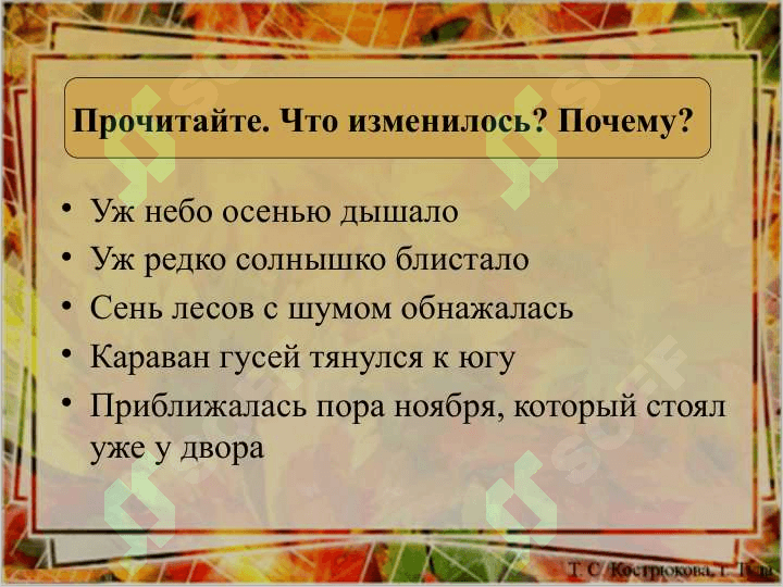 Имя прилагательное 7