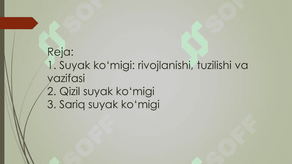 Suyak koʻmigi tuzilishi rivojlanishi. Qizil va sariq suyak koʻmigi 2