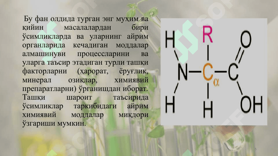 Оқсиллар ва аминокислоталар 5