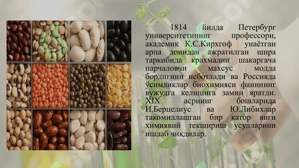 Оқсиллар ва аминокислоталар 6