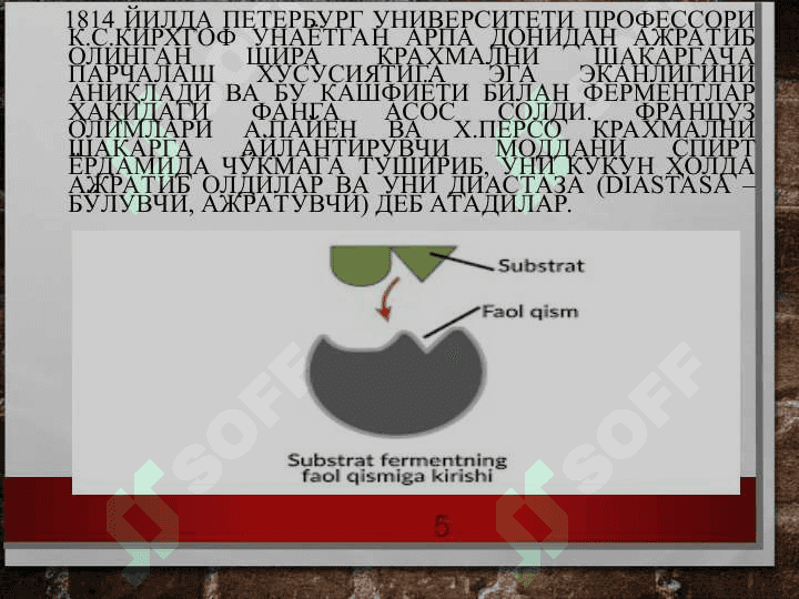 Ферментлар 5