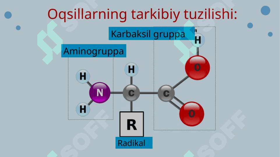 Oqsillar 5