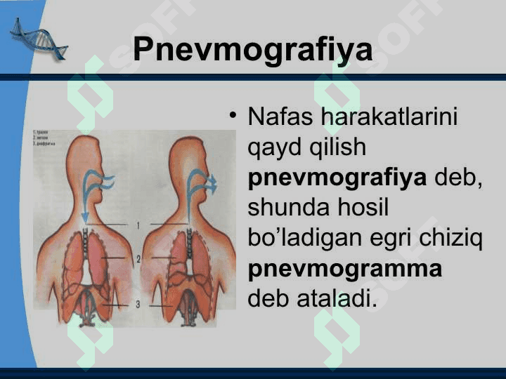 To`qimalarda gazlar diffuziyasi 4