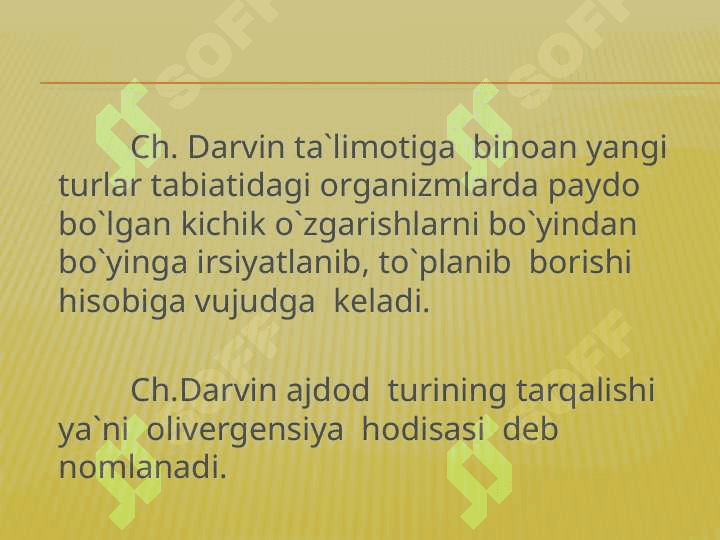 Tur evolutsiyasining asosiy bosqichlari 4